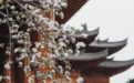 降温+降雨+7~9级雷暴大风!今天下班早点回家