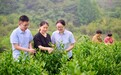 “小特产”成就“大产业”——建行常州溧阳支行助力特色农业发展