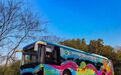 杭州人有自己的过山车?仅需3元 就能解锁隐藏快乐