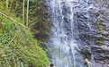 萍乡市五峰林场:他二十七载护林海 用脚丈量山岭沟壑(图)