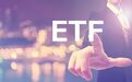 ETF“影子产品”逐渐壮大
