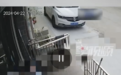 安徽合肥一7岁娃从宠物店将狗偷偷带出 从17楼残忍扔下