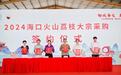 现场签约1.55亿元 “椰城香见 美荔相约”2024琼肴佳话·海口火山荔枝产销大会成功举办