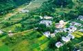 陇南这条研学旅游线路 等你“趣”玩