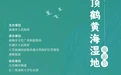 2024丹顶鹤黄海湿地旅游节开幕!