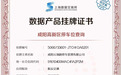 全市首家!实现停车数据资产挂牌入表企业