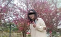 凤凰早报|安徽省委要求彻查滁河污染事件;以色列拟认定联合国机构为恐怖组织