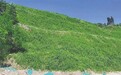 海南将严控新设矿业权 加强矿山生态修复
