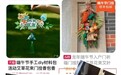 “艾草花束”销售火爆 专家:年轻人庆祝传统节日更注重“仪式感”