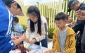 肥东县未来之光幼教集团总园开展“‘粽’情端午 亲子游园会”活动