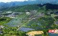 珍爱土地 湖南行动|桂阳:“光伏+”模式开辟矿区生态修复新赛道