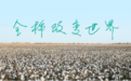 全棉时代与全球消费者分享棉花美好,共享可持续生活
