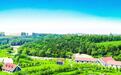 “City”与“Country”兼得!雪饼猴·非遗市集·森林舞会,都在本周末~
