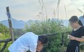开化县中医院医务人员火速救援游客保平安
