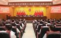 三水乐平实施六大专项行动,全面做大做强中心镇,高质量创建典型镇