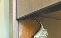 南昌“建发养云”精装房被质疑高价低配 业主:开发商糊弄人