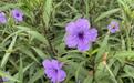 花花“视”界 等您来发现