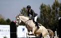 沈阳上演马术竞技盛宴 高难度障碍跨越引欢呼