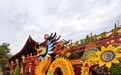 中國開封第42屆菊花文化節將于10月18日開幕