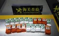 苏州海关查验进境邮件时发现20只活体蚂蚁