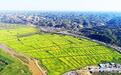 山羊肉 就吃陕北横山羊肉 | “陕北横山羊肉”区域公用品牌升级发布会即将举办