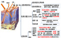 纽莱伊美全新突破，专研创新美白公式，打造更适合国人肤质的白