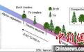 青藏高原最新研究:气候变化加速喜马拉雅高山树线升高和物种演替