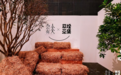 沉浸式体验茶文化  艺展中心邀您共赴东方美学之旅