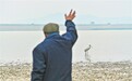 “候鳥醫生”李春如四十二載癡心護鳥：救鳥如救人 我一輩子愛鳥護鳥