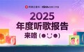 2025网易云音乐年度听歌报告正式上线:总有一首歌,是为了此刻