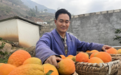东西部协作帮扶资金精准“灌溉” 金沙江畔建起千亩脐橙园