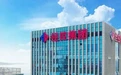 稳增长、促转型、强担当!青岛开投集团2025年以实干实绩书写国企担当