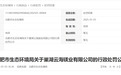 巢湖云海镁业被罚违38.6万 违规通过环保设施验收