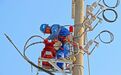 贛江新區(qū)：線路改造保供電（圖）