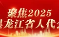 一图读懂｜黑龙江省人大常委会工作报告