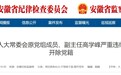 执法犯法，财迷心窍、贪婪无度！安徽一厅干被开党籍