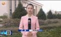 深化“三抓三促”行动 甘肃这样干