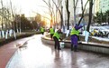 烟台市区将建一批口袋公园 重要路段及节点增植月季