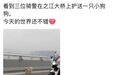交警护送狗狗过桥!杭州之江大桥一幕火了