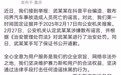 赛力斯:武某某编造散布问界事故致人死亡谣言 公安机关已进行治安处罚