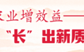 乡村有奔头,农民有劲头!山东深入贯彻落实习近平总书记重要指示要求述评之四