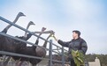 會昌“00后”新農(nóng)人自主創(chuàng)業(yè) 成為“鴕鳥大王”助農(nóng)增收