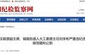六大纪律全违反！阜阳一干部被双开