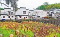 江西唯一!婺源入选民政部“乡村著名行动”首批典型经验全国推广名单