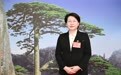 “千年药都”新篇章：亳州如何以中医药为桥走向世界
