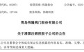 青岛伟隆股份：清算注销控股子公司海南伟隆