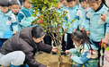 黄山市徽州区：大手拉小手 共植幸福苗