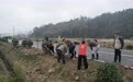 安徽休宁：不负春光“植”青绿 共绘生态新画卷