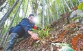 武夷山國家公園江西片區共記錄各類生物物種5100種