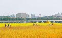 34℃↘10℃!南昌即将迎来大降温 市民注意增减衣物谨防感冒